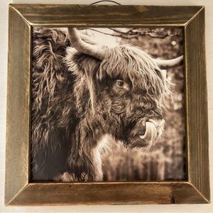 Rustic Art- Home Decor-
Cow Art Work - photography